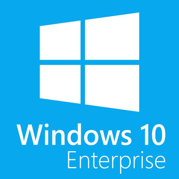 Windows 10 IoT Ent. LTSC Value [MUU-00005]